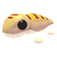 Sandfish  - Common from Desert Egg